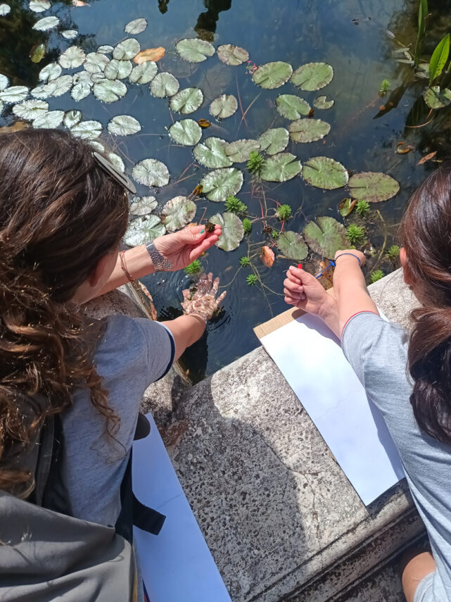 Exploramos la naturaleza en la Ciudad