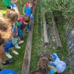 Las salas de 3 salieron a observar insectos y arácnidos.