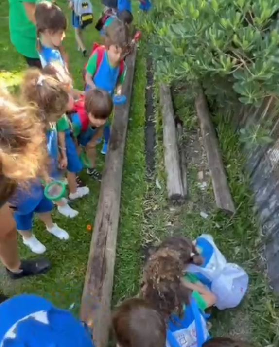 Las salas de 3 salieron a observar insectos y arácnidos.