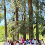 ¡Campamento, atento!