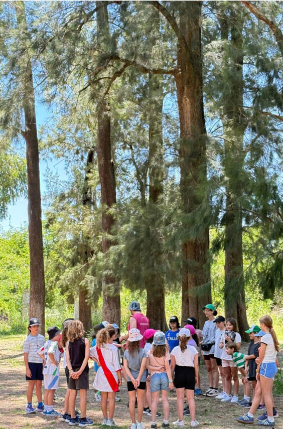 Campamento… ¡Atento!